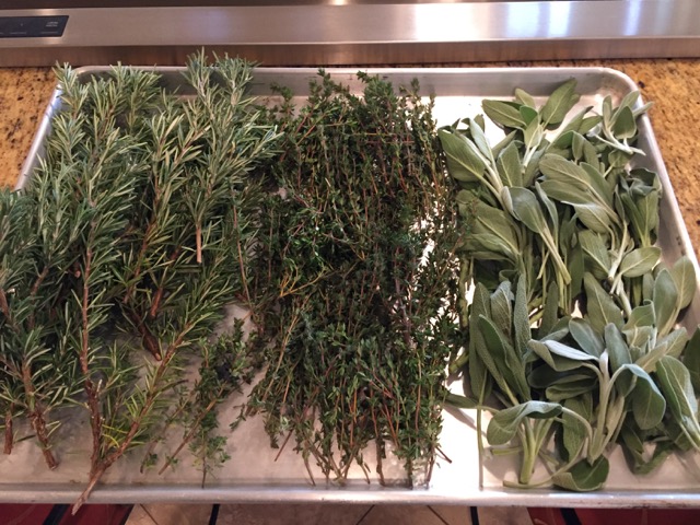 dried-herb